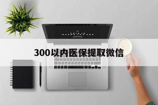 哈尔滨300以内医保提取微信(医保提取24小时中介)