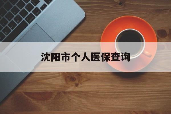 哈尔滨沈阳市个人医保查询(沈阳市个人医保查询个人账户)